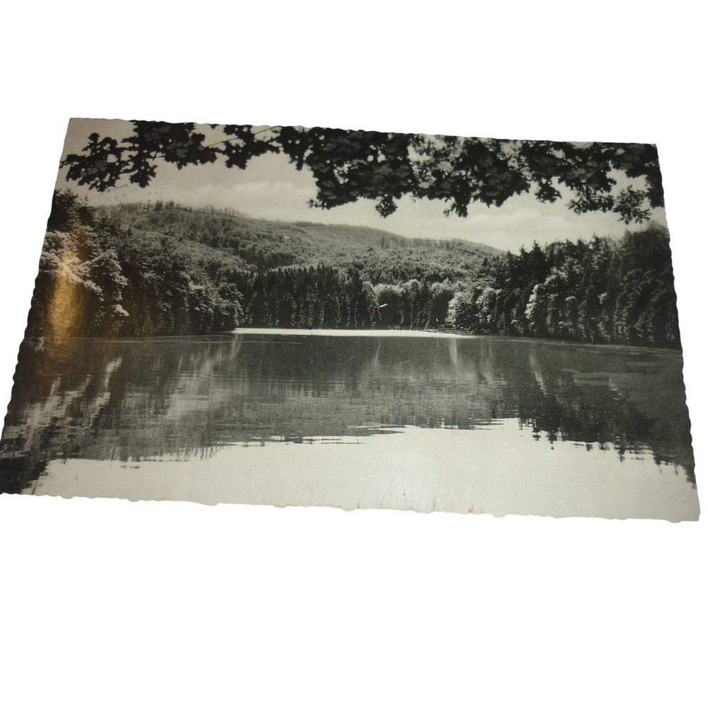 1960s Wiesenbeker Teich Bad Lauterberg Germany Real Photo Postcard RPPC
